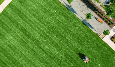 Specialty Lawn Services