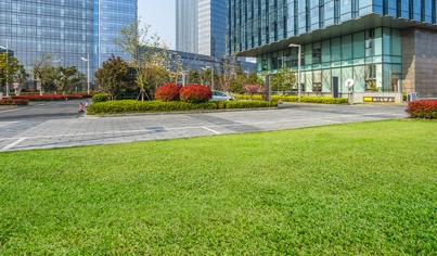 Commercial Lawn Care