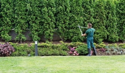 Commercial Landscaping