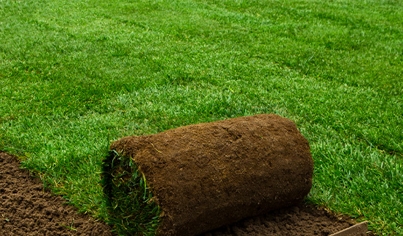 Lawn Installation