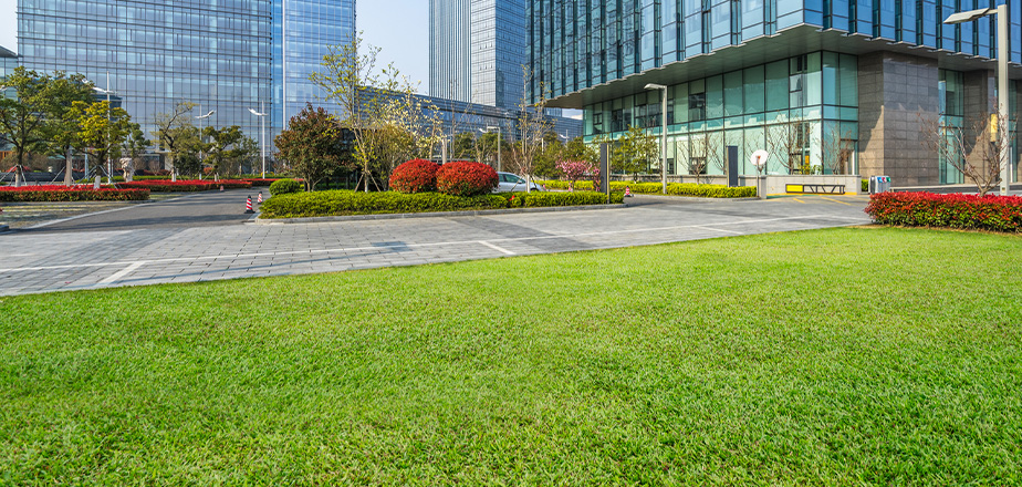 Commercial Lawn Care