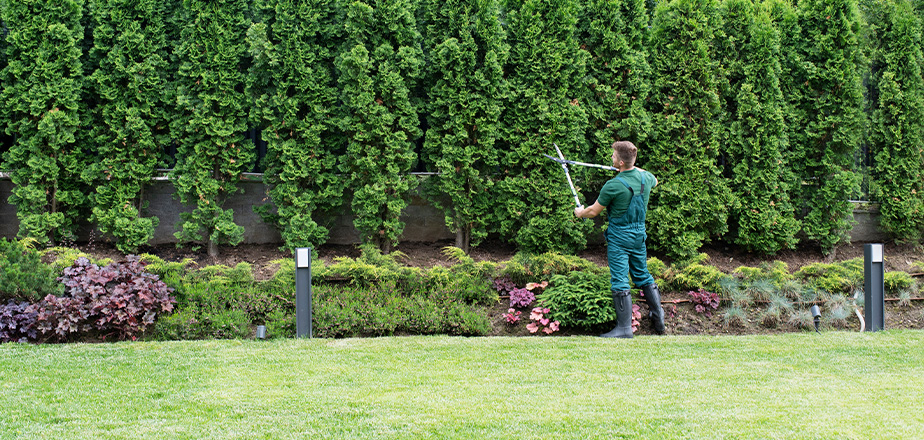 Commercial Landscaping